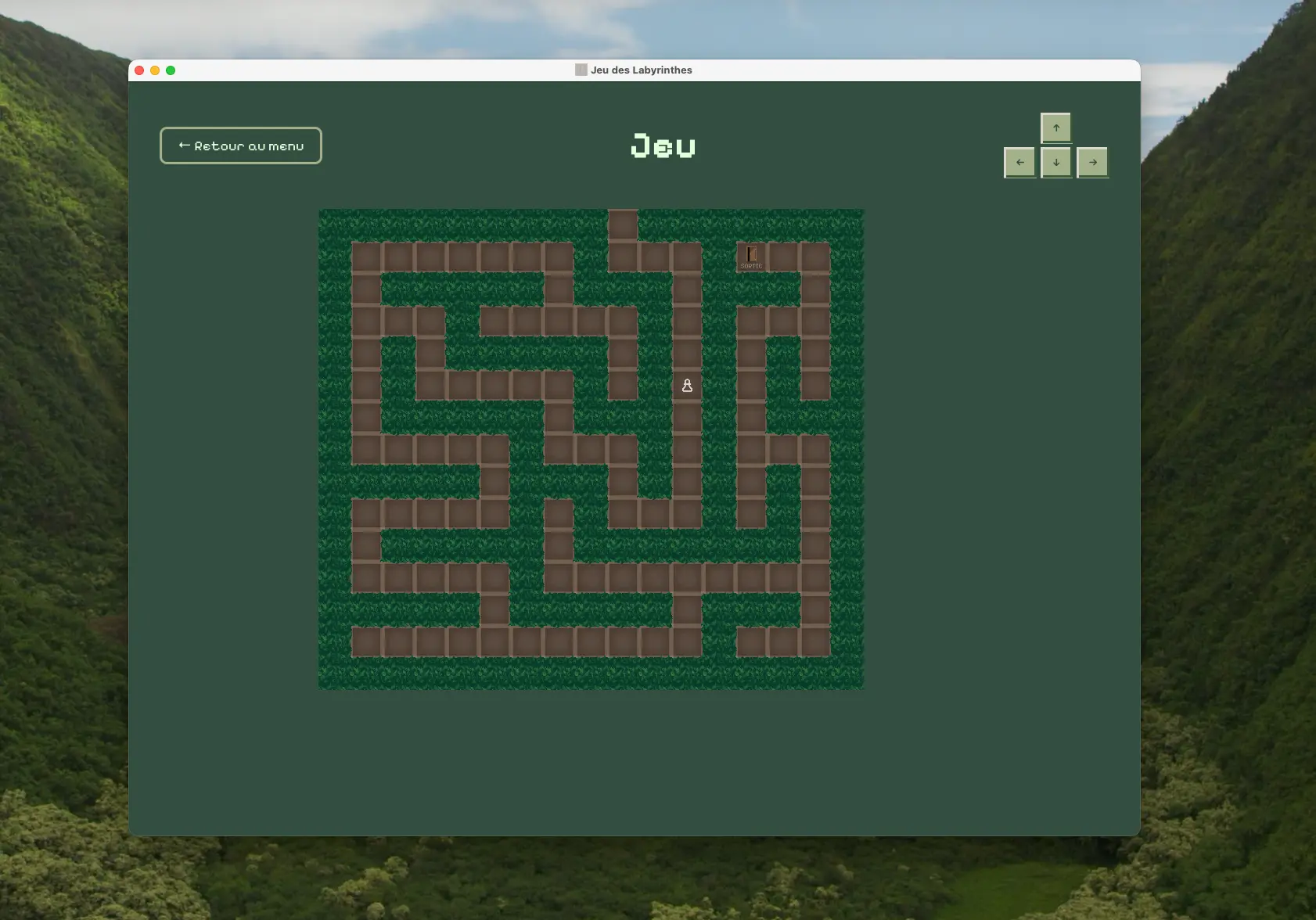 Project preview 2