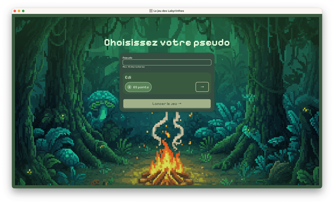 Screenshot representing Le Jeu des Labyrinthes