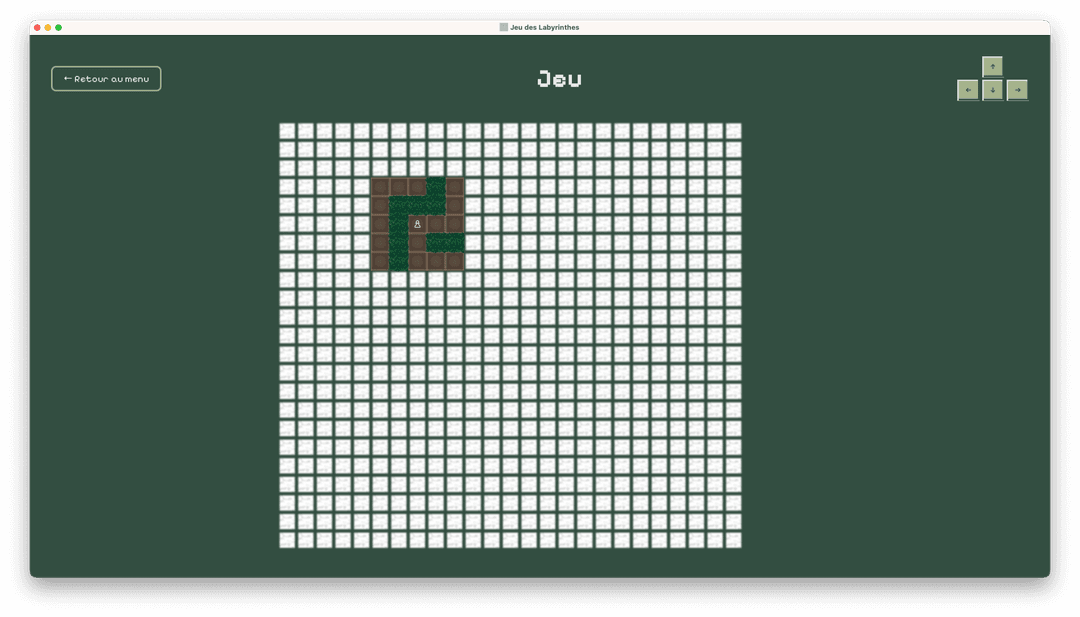 Screenshot representing Le Jeu des Labyrinthes
